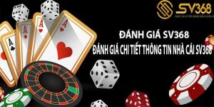 Đánh Giá SV368