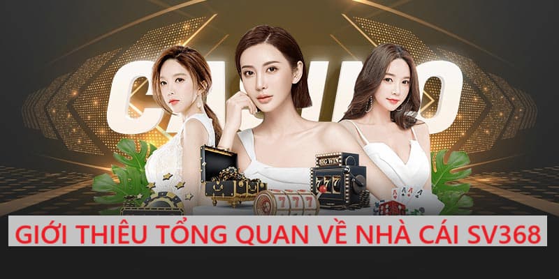 Khám phá thông tin hay ho về nhà cái SV368