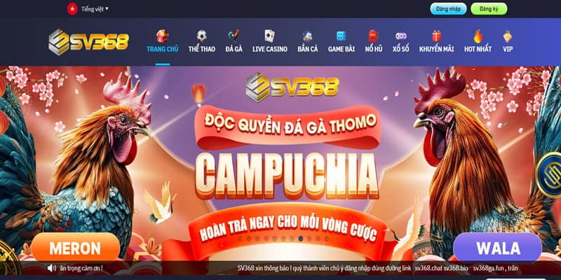 Giao diện sân chơi trực quan, sinh động