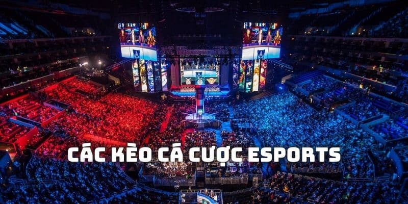 Esports đang có sự thay đổi mạnh mẽ khi có sự hợp tác của các đơn vị phát hành game với nhau