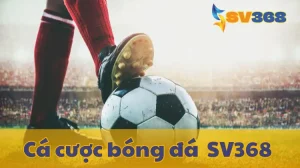 Làm Chủ Cá Cược Bóng Đá SV368: Kèo Nào Cũng Bắt Trúng