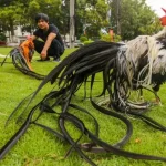 CEO đỗ minh tuấn