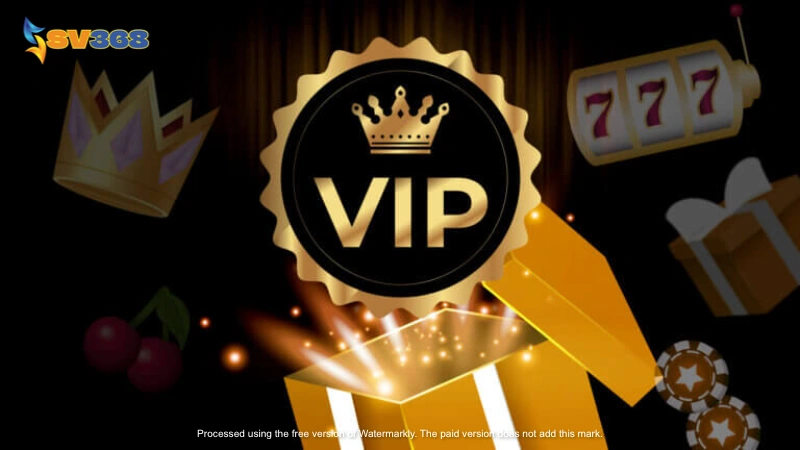 Ảnh minh hoạ: Lợi ích khi là thành viên VIP Sv368