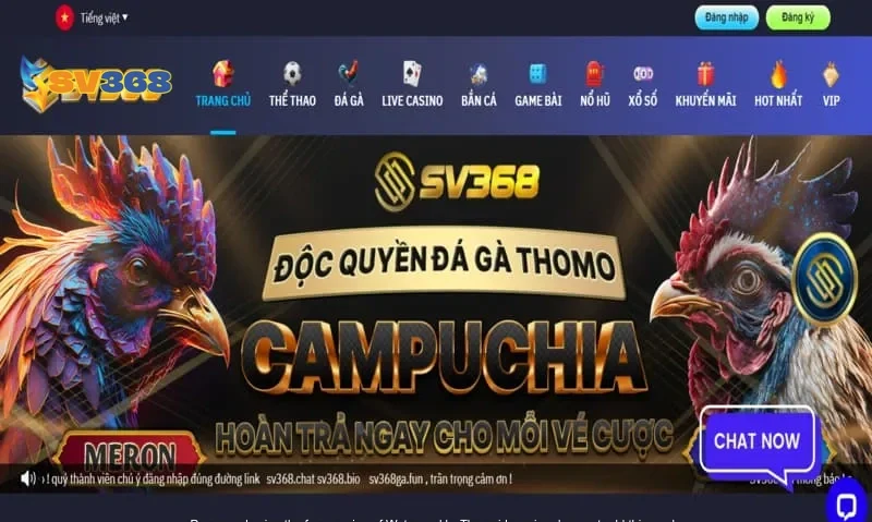 Ảnh minh hoạ: Đánh giá trải nghiệm website Sv368 từ người dùng